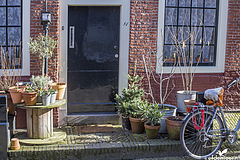Haarlem Groot Heiligland